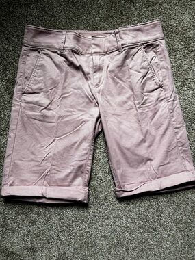 LOFT Dusty Rose Women's Casual Shorts